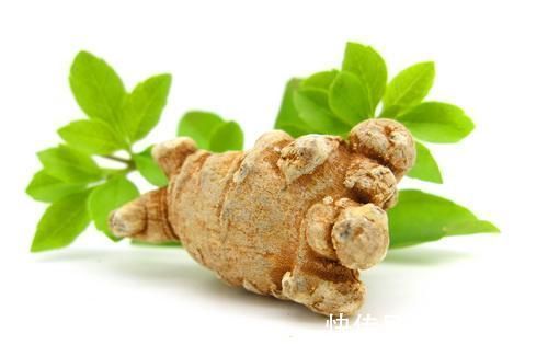 三七|血瘀生百病!清朝医林高手一个2味药的经典配方,从头到脚化瘀血