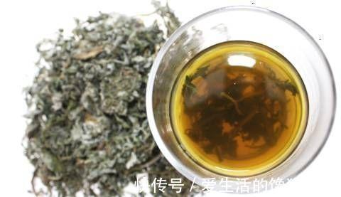 幽门螺旋杆菌|幽门螺杆菌入了胃,身体会有几种不适发生,就算只一个,也要重视