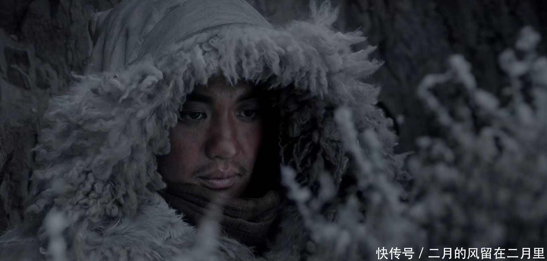 孤松拓|牧云严霜为抓雪狼王,硕风和叶为诱饵,盘达会保护他