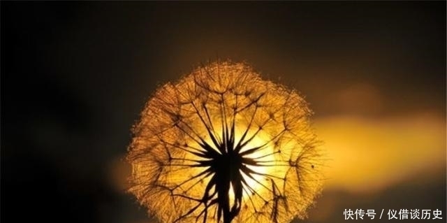 事无常师&人生,越早悟透这3条“天机”,越早开启智慧之门