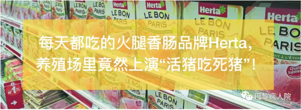  城市|2020法国最有吸引力城市排名出炉！巴黎早就被踢出圈？