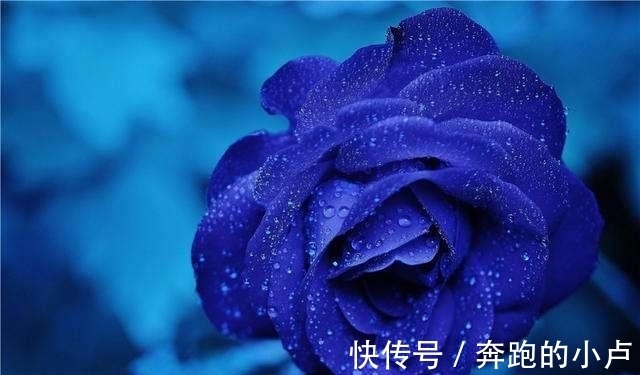 运势|9月财运大红大紫蒸蒸日上，大吉大利，运势如日中天的4大星座！