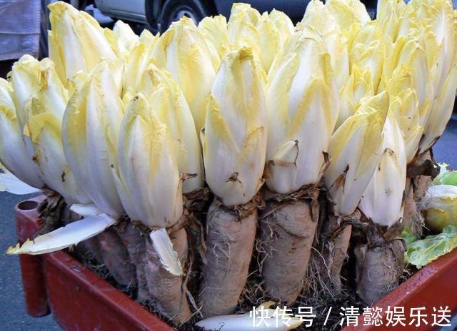1种“废根”埋土壤里，8天变成“金黄菜”，1公斤卖60，还好看