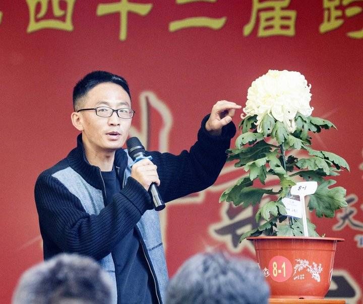 情报站|趵突泉金秋菊展斗菊大赛新菊王长啥样？快来看看吧