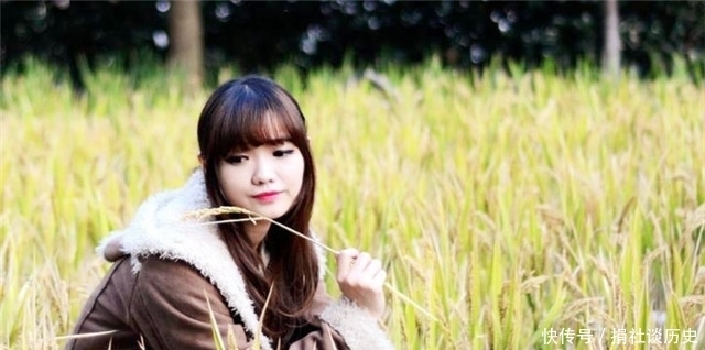 韭绿|曹雪芹的理想国:一畦春韭绿,十里稻花香