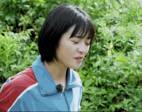 什么是明星们的“真面目”?看看《向往的生活》就知道了