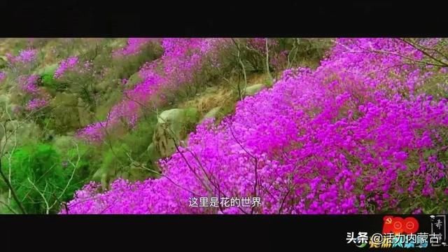 神奇的土地|赤峰，这一方天赐净土深得大自然的垂爱