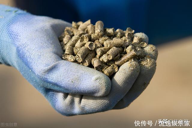 钓场|“因为蹭窝,他往水里丢了块砖”,黑坑最易引发矛盾的3件事