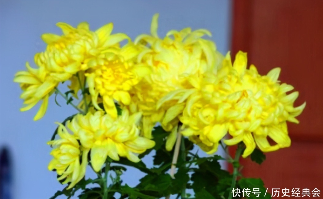 很有营养的3种食物,值得天天吃,排毒养颜、改善体质