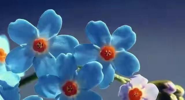 孩子|为人父母，千万不要穷养孩子，不然会留有一生遗憾