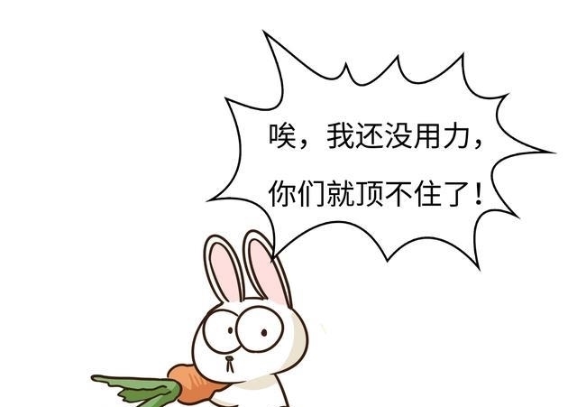 菲李|馋哭四川人的兔子，是如何把澳大利亚人逼疯的？（菲李漫画）