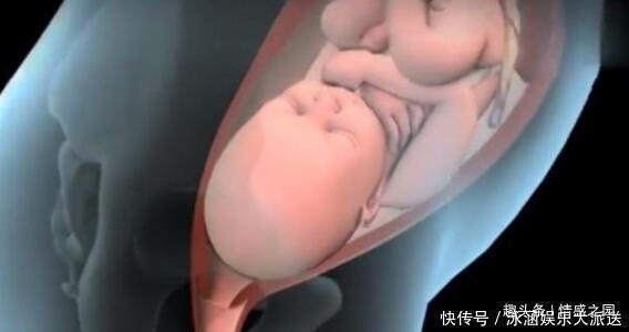 孩子|女人一生能生几个孩子?医生的答案,告诉你!