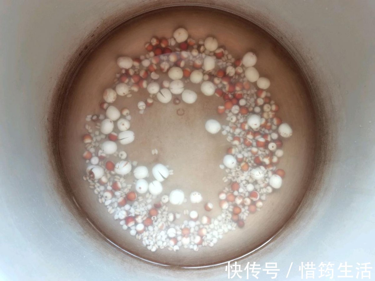 薏米|夏季的美容汤，做法简单，帮助消化