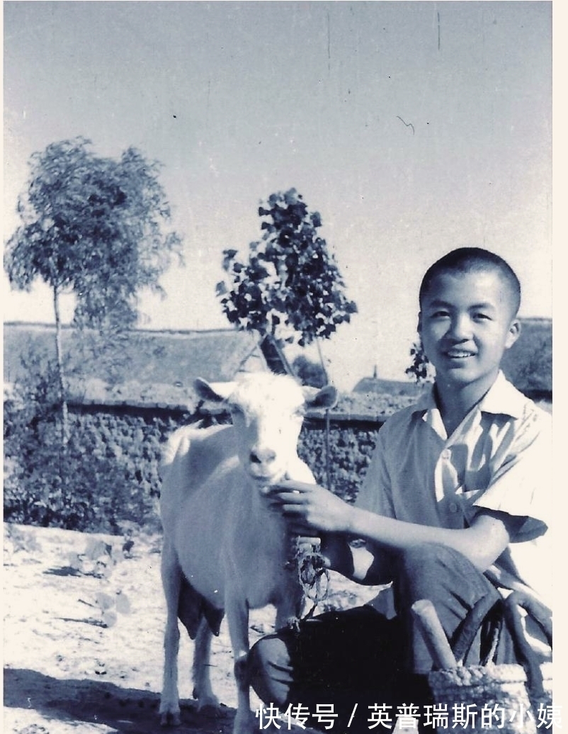 精神失常!28年后再揭底:当代大诗人顾城,37岁杀妻前,是否已精神失常?