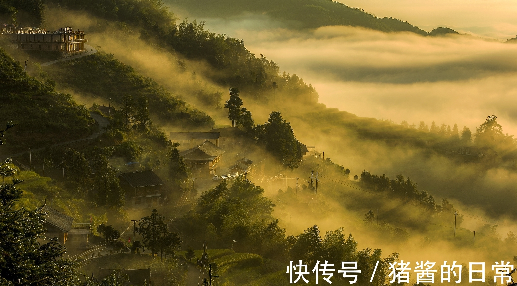 桑林里|王维一首五古,画面宁静祥和,让人向往