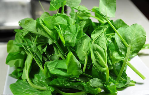 加上一些|天冷了,多给家里人喝此汤,简单煮一煮,营养极高,冬天要多喝它