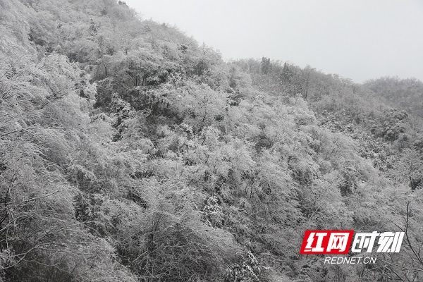 美景|湖南新田：春雪绘美景（组图）