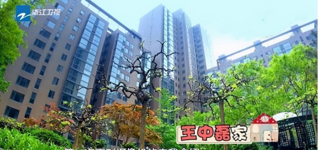 电梯|华谊总裁王中磊家,电梯入门,一进门就是金钱的“味道”