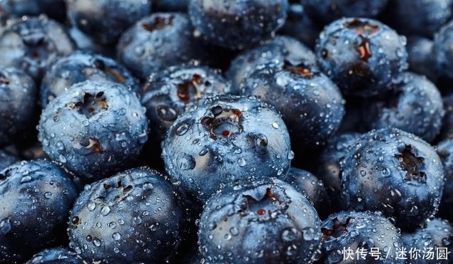 難怪藍莓賣那么貴,這么多的功效與作用,真是物有所值啊!