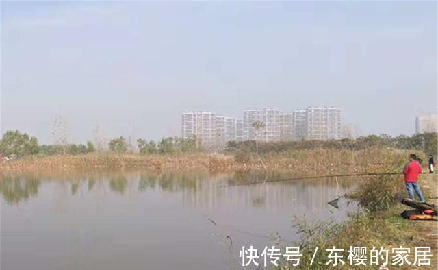 米饭粒|秋天野钓大鲫鱼，传统钓才是“王者”，其他钓法都比较“渣渣”