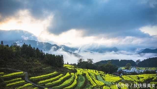 大片|三生三世十里桃花，花海何处寻？这些地方能见到最美花海！