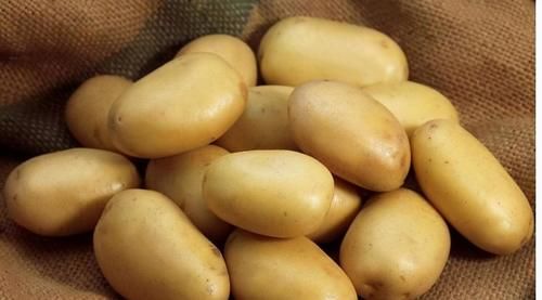 衰老|不想体质衰老，建议吃以下食物，清热解毒，排毒杀菌，缓解疲劳