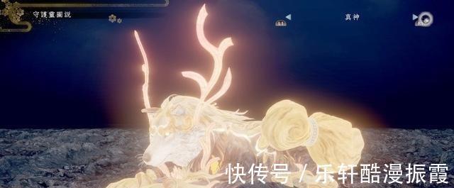 鹿角|海贼王1020话大和果实确定是日本狼神,那为何她头上会有鹿角