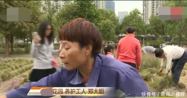 老年|网红花海仅仅维持了三天, 被踩成烂草地, 负责人: 种了3年撑3天