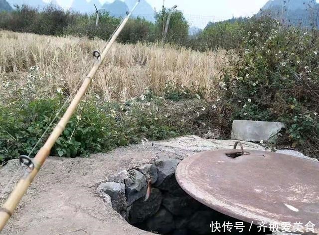 广西|这是啥鱼？广西柳州废井里，居然能钓到“稀罕鱼”，你认识几条？