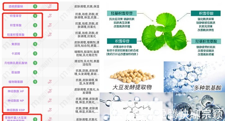 肚子|怀孕趁肚子没大，赶紧预防妊娠纹！别心疼钱，比产后修复划算多了