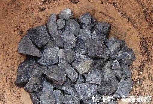 花盆里加点这个,不烂根不黄叶,轻松养满盆