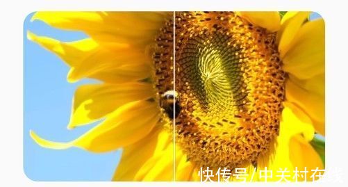 wi-fi|3000价位段最值得买的旗舰，一加 9RT全面测评