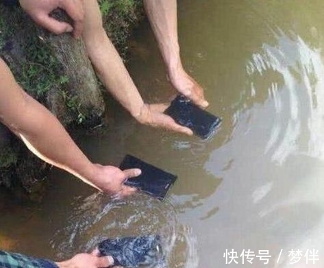 |搞笑图片幽默段子笑话:这是我见过最休闲的狗,人不如狗系列啊