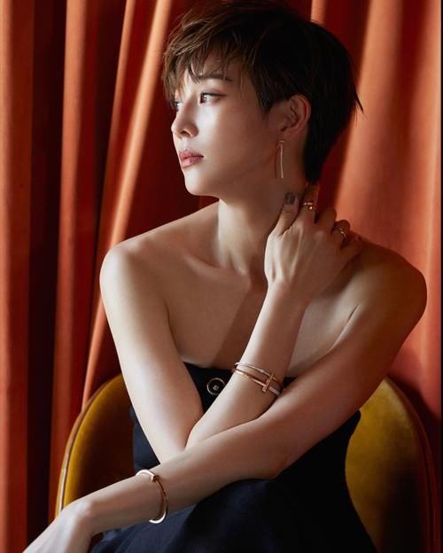 八大奢侈手镯经典款,卡地亚的LOVE、宝格丽蛇镯、蒂芙尼双T