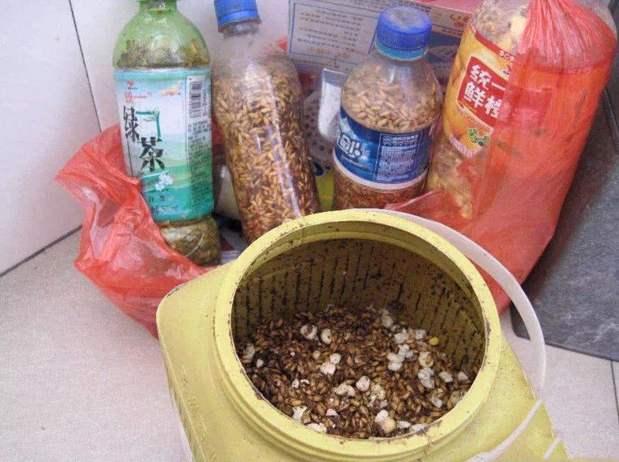 用起来简单,也就三招,老大爷传授的“臭谷子”钓法,专攻大鲤鱼