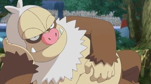 始祖大鸟|口袋妖怪最没用的四大特性,这些宝可梦被特性毁一生