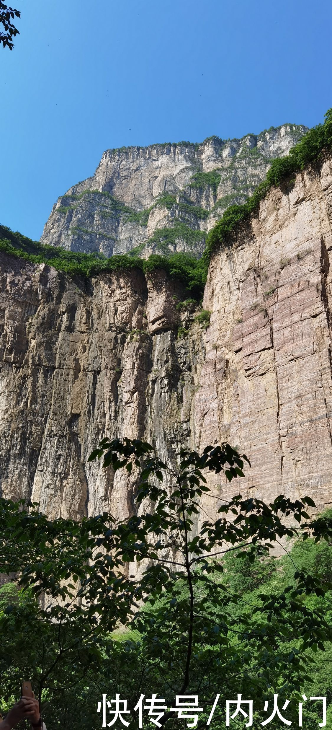 太行山|河南省花鸟画研究会走进太行山采风写生活动