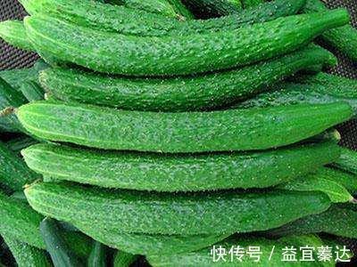 胆固醇|此瓜比西瓜牛100倍！肝不好吃它,尿酸高吃它,降压降糖吃它…