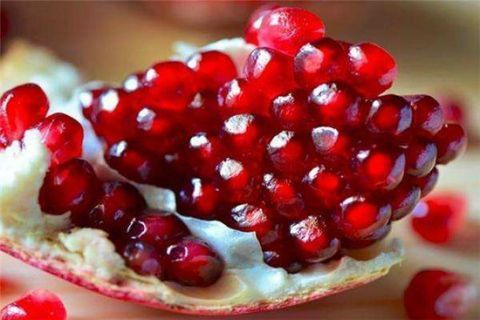 番茄|常吃这些食物好处多 番茄清热生津延缓衰老