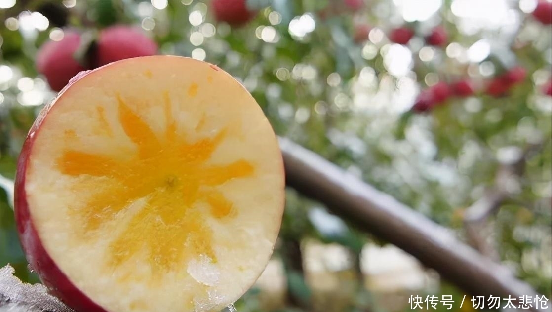 过年囤这4种水果,不但健康营养还实惠,关键寓意特别好