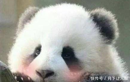 却是|李白唯一书法真迹, 只有25字却是无价之宝, 堪称书法“大熊猫”!