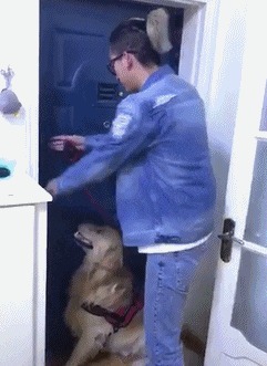 |搞笑GIF:赶紧拿纸给媳妇擦擦手啊,一点眼力都没有