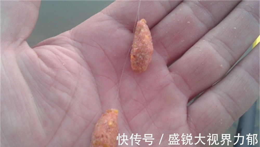 鱼情|调漂技巧:鱼情好,调漂不必追求精准,鱼情差,精确调漂很有必要