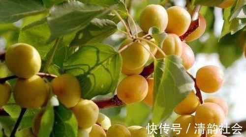 食物|人到中年想长寿，不妨坚持吃3种食物，淡化皱纹，越活越年轻！