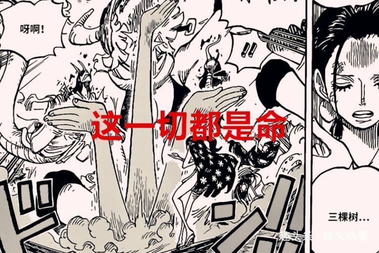 大妈|海贼王1028话解析:三方势力争夺罗宾,她“下船”的可能性很大