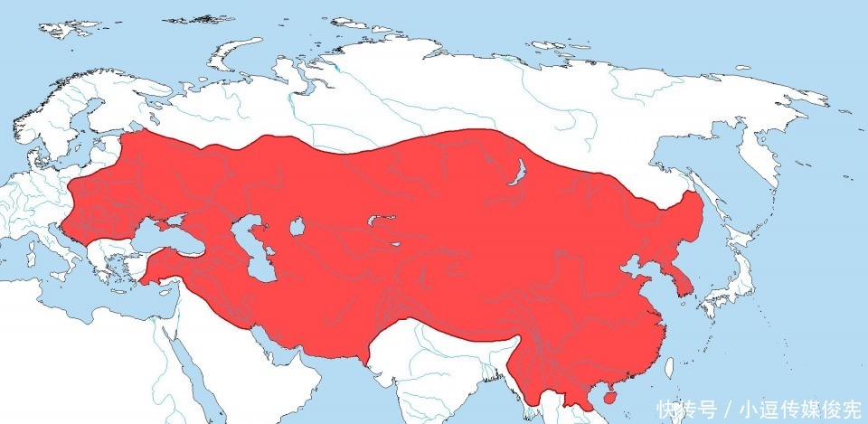 帝国|世界历史几大帝国,放到同一张世界地图,会是怎样?