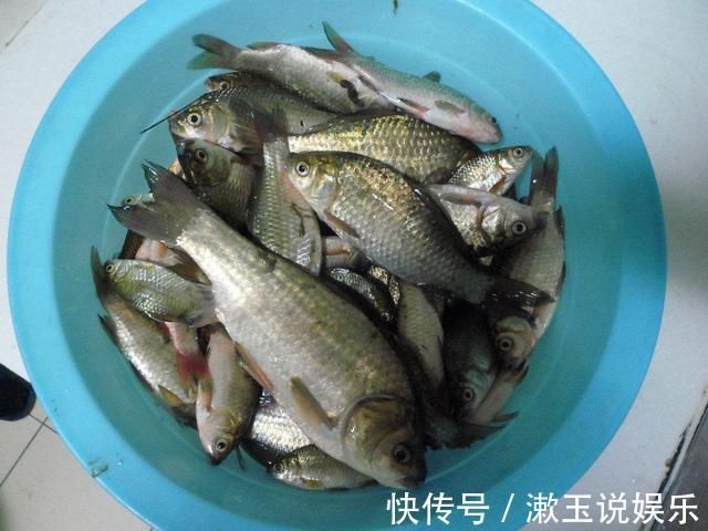 蚯蚓钓鱼早落伍了！63岁钓鱼人教你大蒜钓鱼法，把整个鱼塘钓空