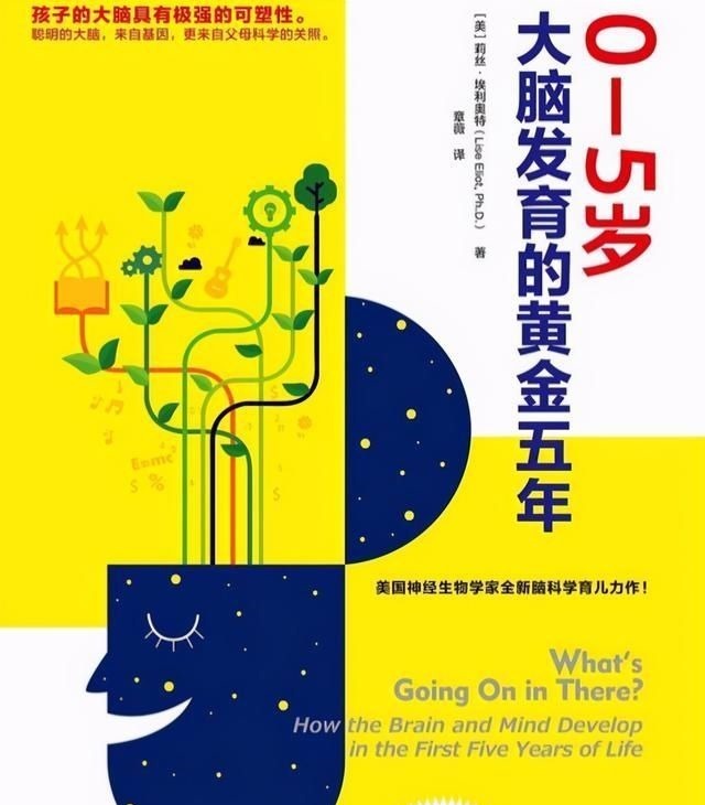父母|美国神经生物学家:孩子大脑发育存在“黄金5年”,父母要把握住