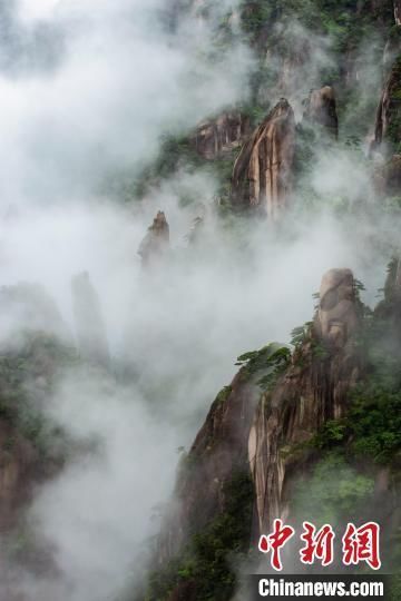 遗产|雨后江西三清山现壮美云海景观 云缠雾绕充满仙韵