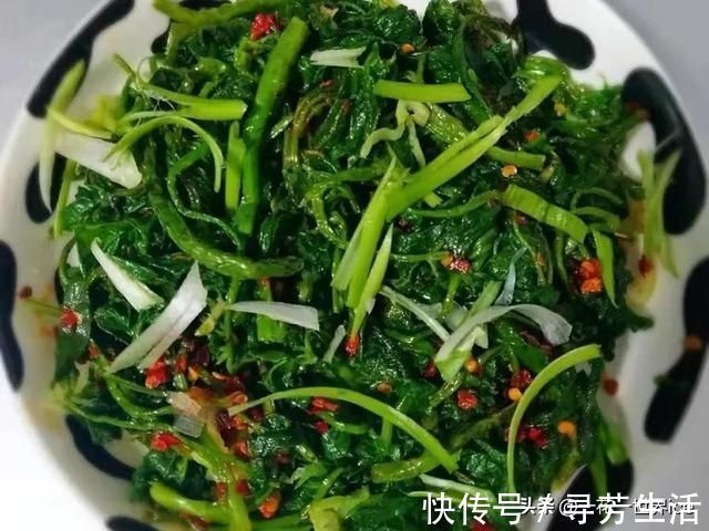 神农本草经|这树满身刺，嫩叶却成极品野菜，民间俗称“刺拐棒”，一斤30元